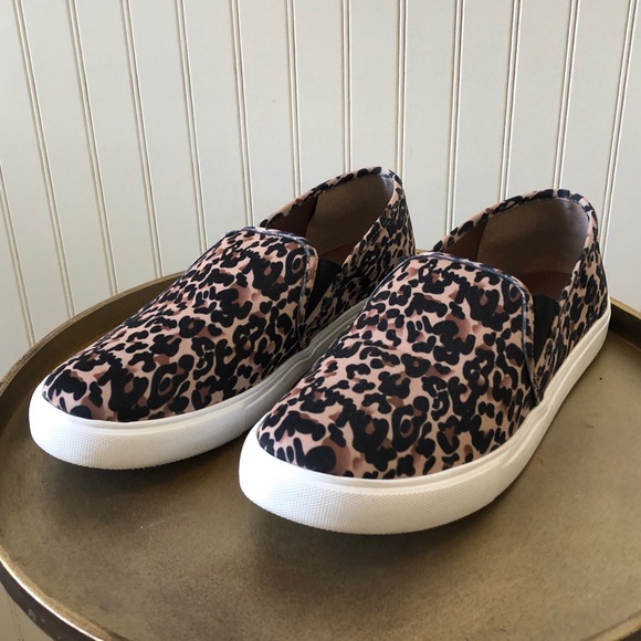 STEVE MADDEN | SYMBA SLIP ON ANIMAL PRINT SNEAKERS | SHOES | SIZE: 10M | EUC - Picture 1 of 10